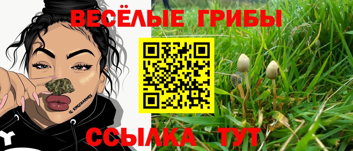 Сланцы  Псилоцибиновые грибы ЛСД  Вход с VPN  Галлюциногенные грибы GOLDEN TEACHER 